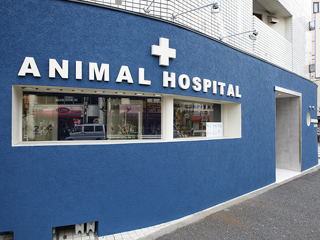 動物病院うみとそら 杉並区 中野区 土日対応の動物病院